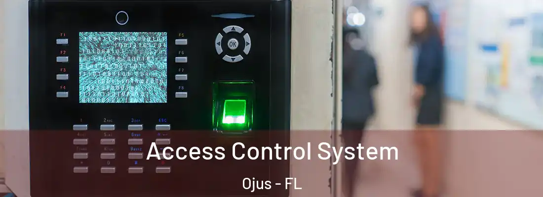 Access Control System Ojus - FL