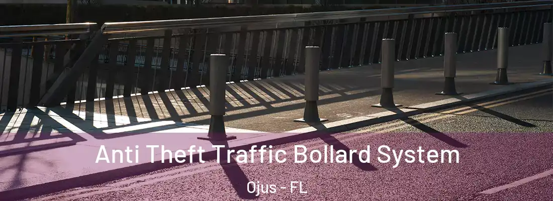 Anti Theft Traffic Bollard System Ojus - FL
