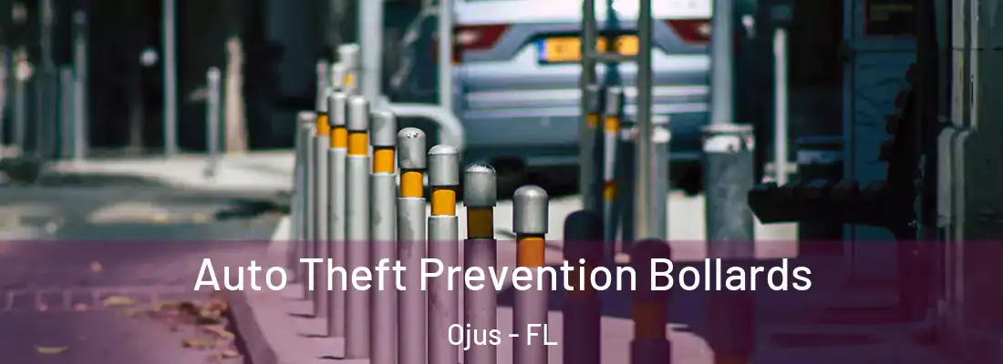 Auto Theft Prevention Bollards Ojus - FL