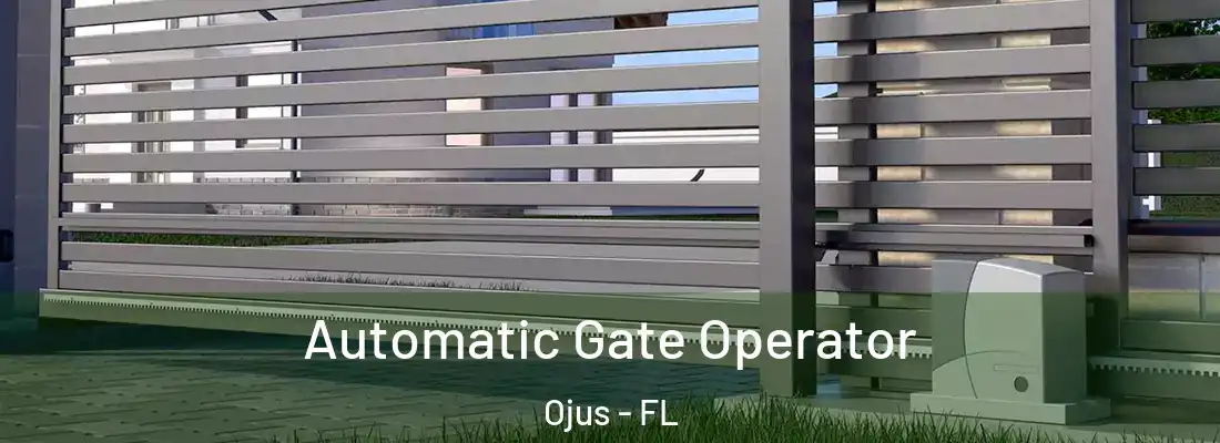 Automatic Gate Operator Ojus - FL