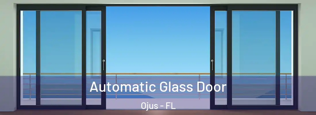 Automatic Glass Door Ojus - FL