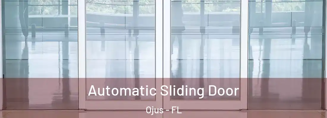 Automatic Sliding Door Ojus - FL