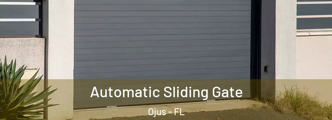 Automatic Sliding Gate Ojus - FL