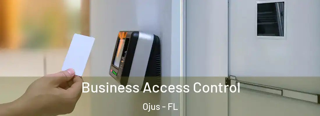 Business Access Control Ojus - FL