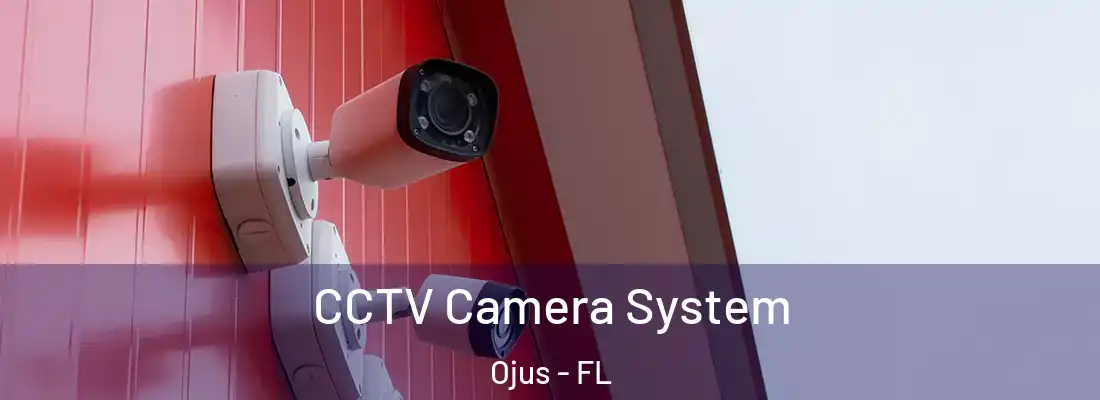  CCTV Camera System Ojus - FL