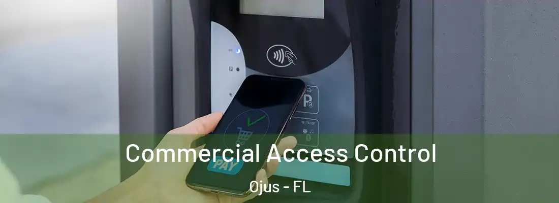  Commercial Access Control Ojus - FL