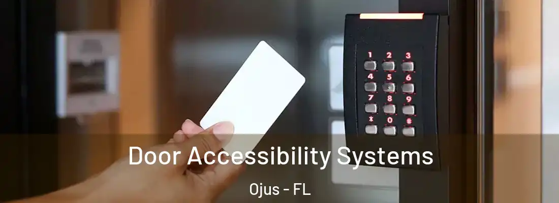 Door Accessibility Systems Ojus - FL