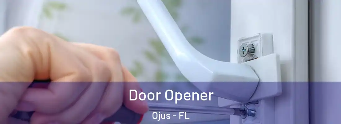 Door Opener Ojus - FL