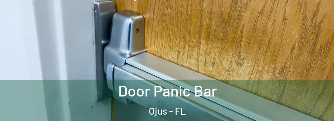  Door Panic Bar Ojus - FL