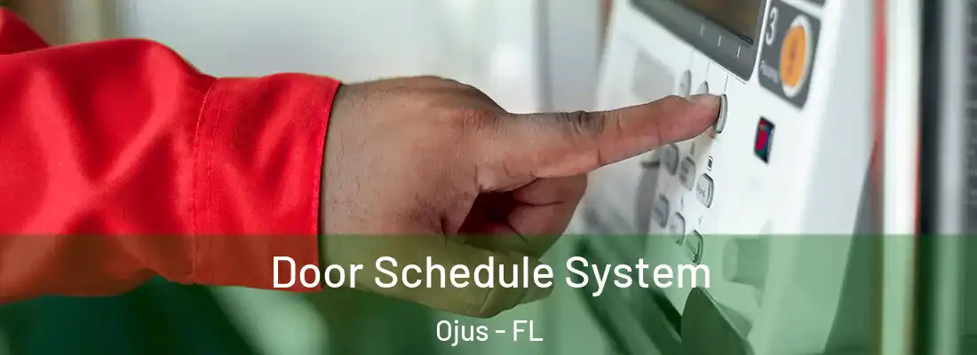 Door Schedule System Ojus - FL