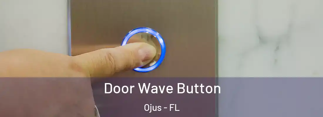 Door Wave Button Ojus - FL