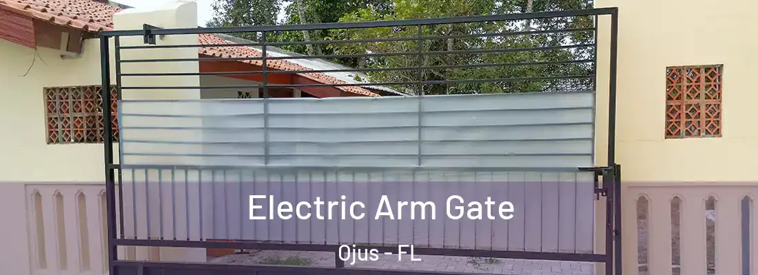 Electric Arm Gate Ojus - FL
