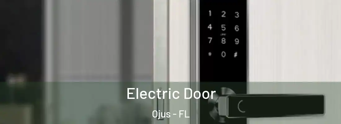 Electric Door Ojus - FL