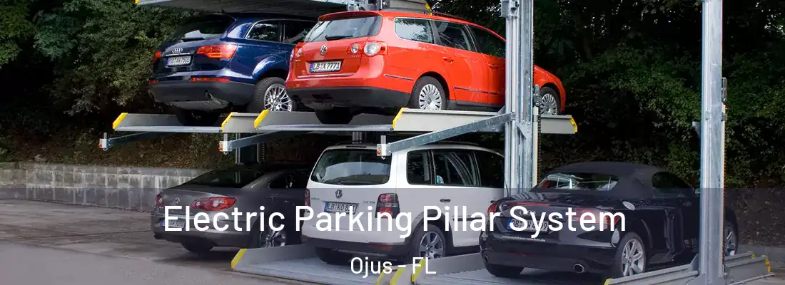 Electric Parking Pillar System Ojus - FL