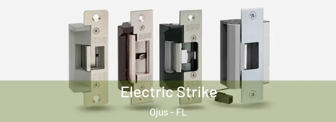 Electric Strike Ojus - FL