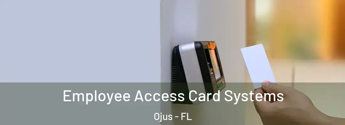 Employee Access Card Systems Ojus - FL