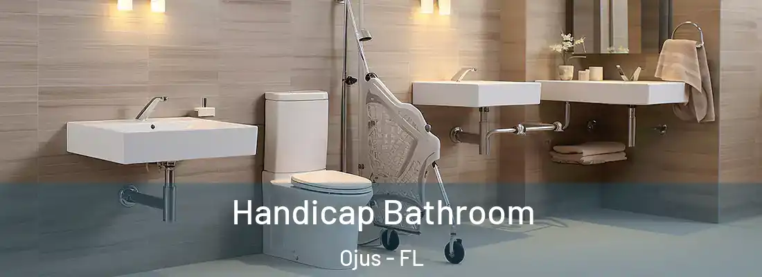 Handicap Bathroom Ojus - FL