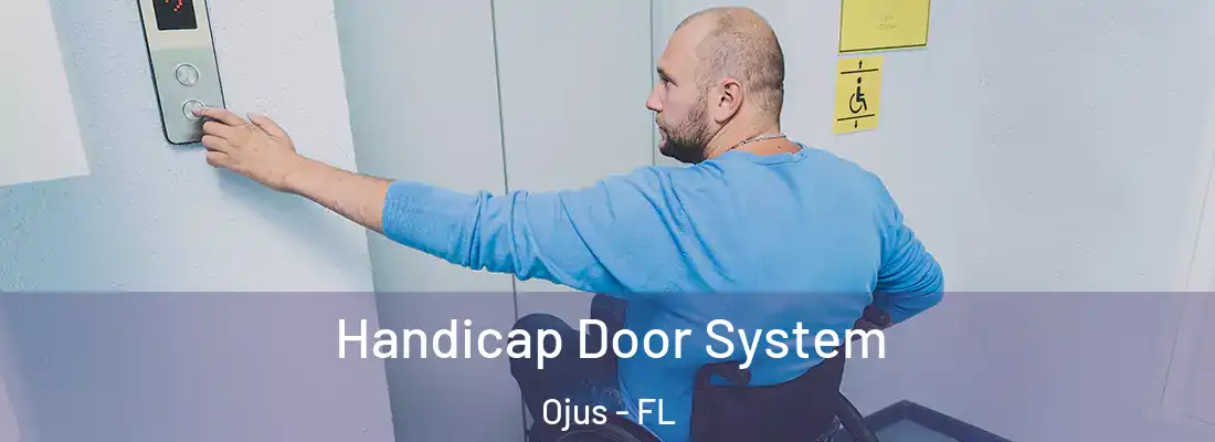 Handicap Door System Ojus - FL