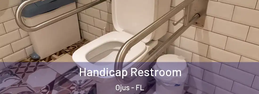 Handicap Restroom Ojus - FL