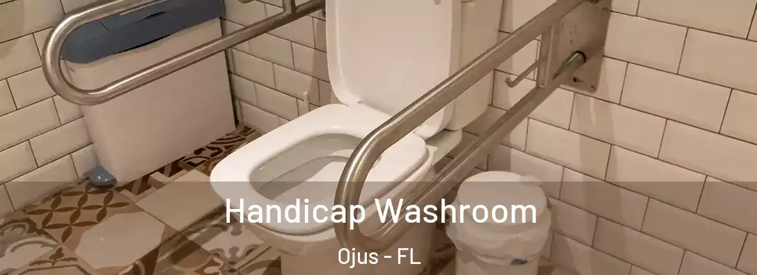 Handicap Washroom Ojus - FL