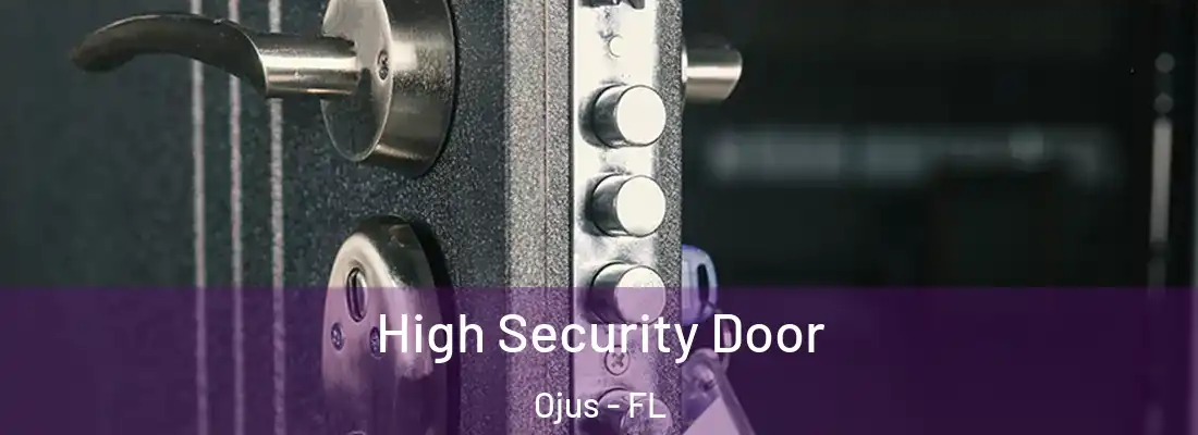 High Security Door Ojus - FL