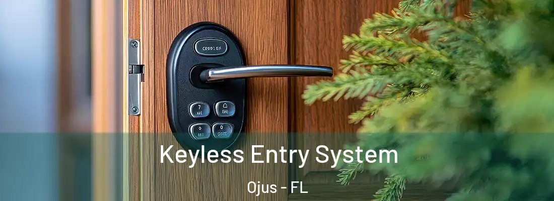 Keyless Entry System Ojus - FL