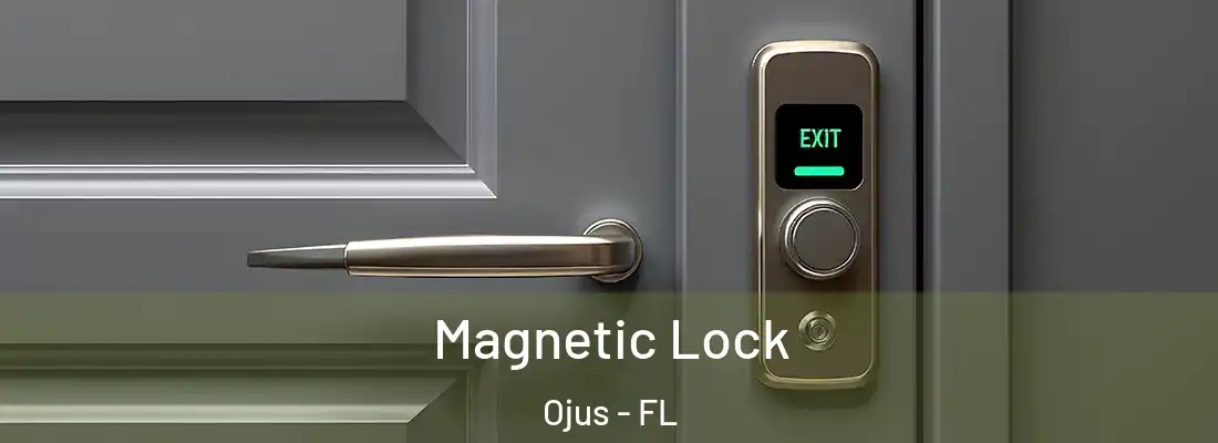 Magnetic Lock Ojus - FL