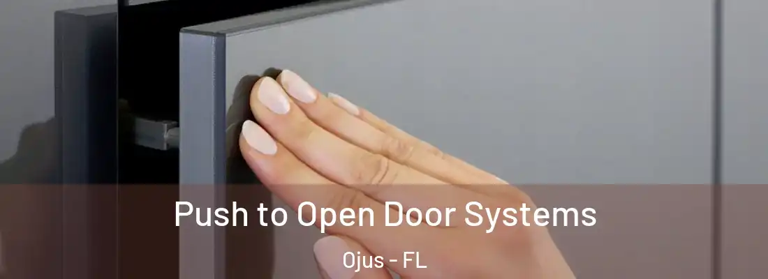 Push to Open Door Systems Ojus - FL