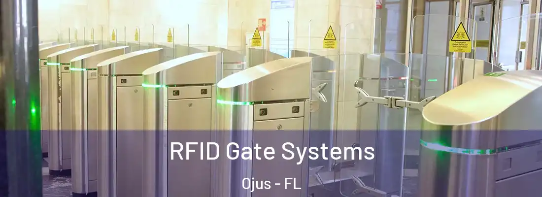 RFID Gate Systems Ojus - FL