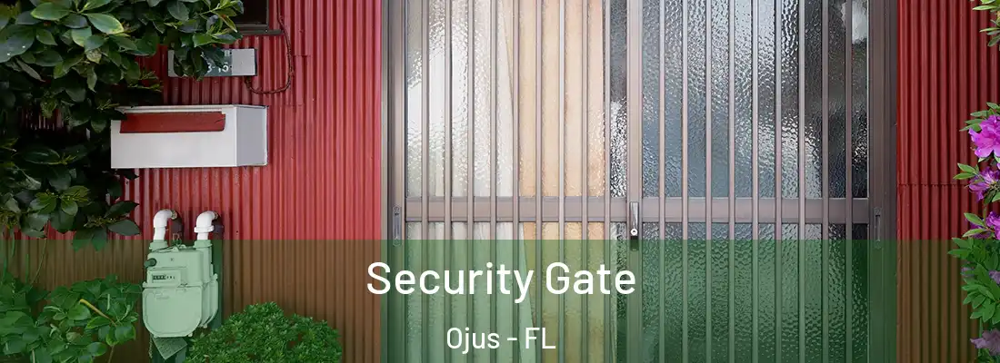Security Gate Ojus - FL