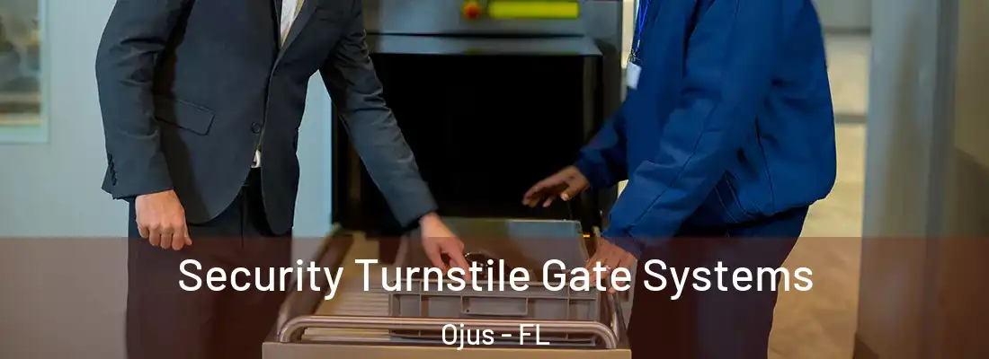 Security Turnstile Gate Systems Ojus - FL