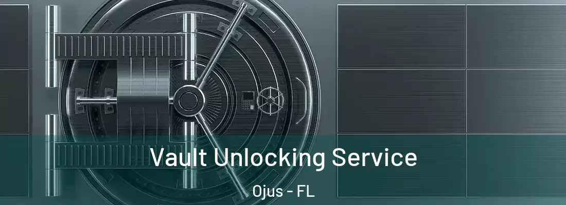 Vault Unlocking Service Ojus - FL