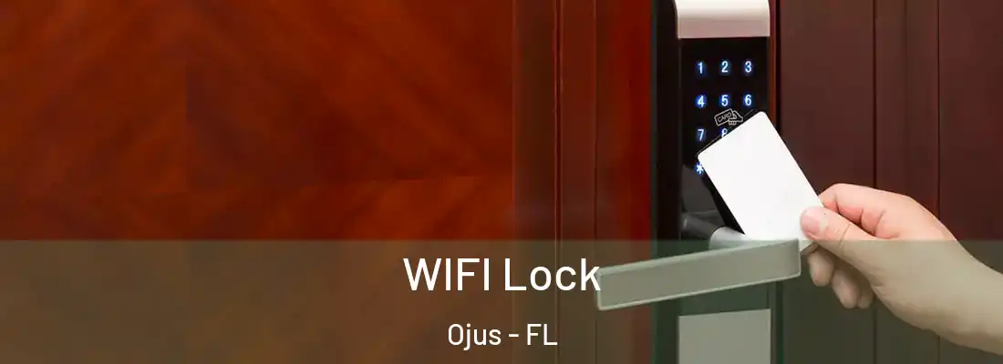 WIFI Lock Ojus - FL